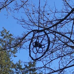 Meet your Posher, Skye